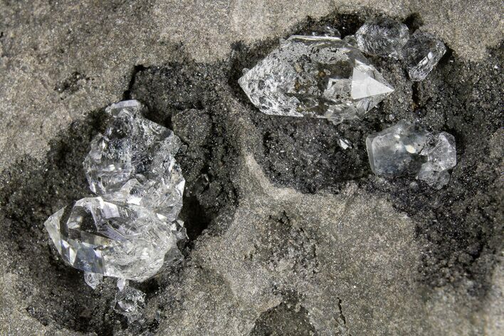 Herkimer Diamonds in Matrix - The Ace of Diamonds Mine, New York #324507